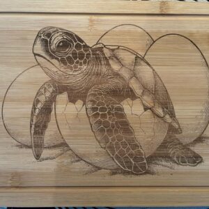 Schlüpfende Schildkröte