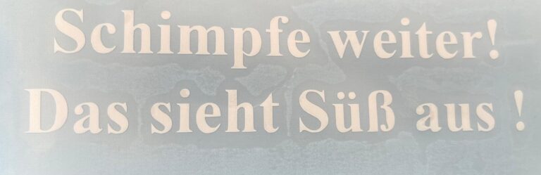 WhatsApp Image 2025-08-16 at 18.03.20(4)