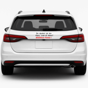 Kfz-Aufkleber (ca.15 x 5 cm) 😏„Du denkst ich bin”