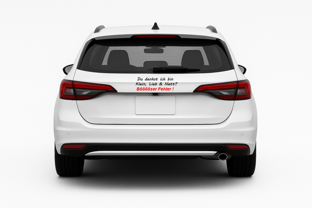 Kfz-Aufkleber (ca.15 x 5 cm) 😏„Du denkst ich bin”